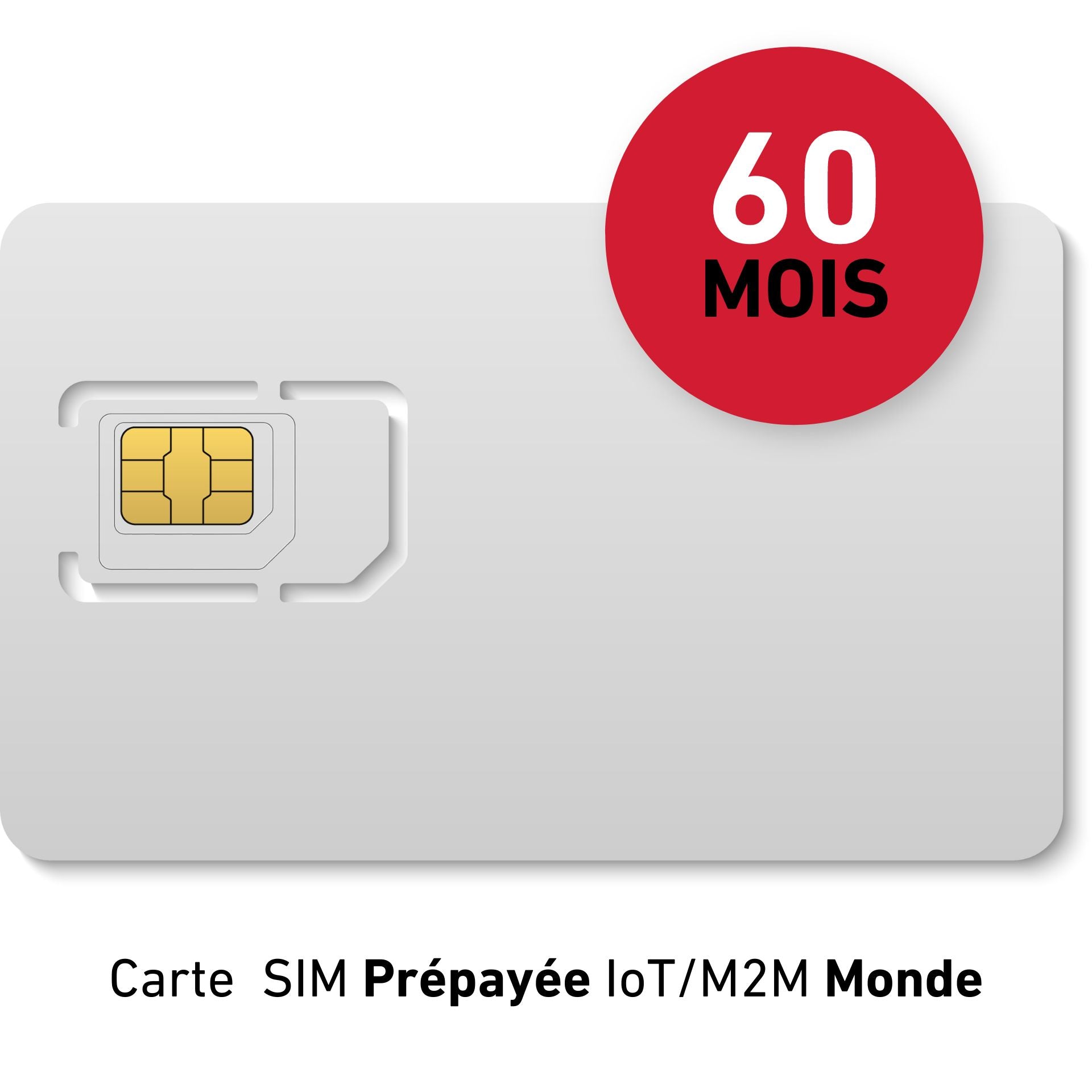 Carte SIM Prépayée IoT/M2M Monde - Validité 60 MOIS